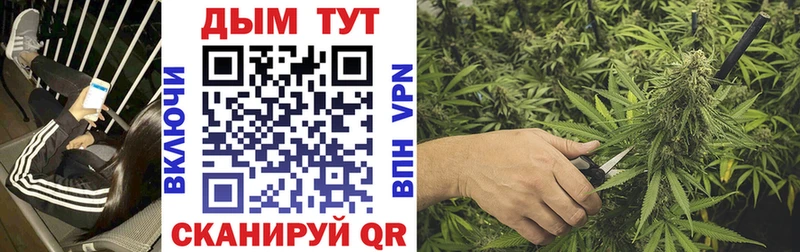 магазин продажи Макарьев Каннабис марихуана